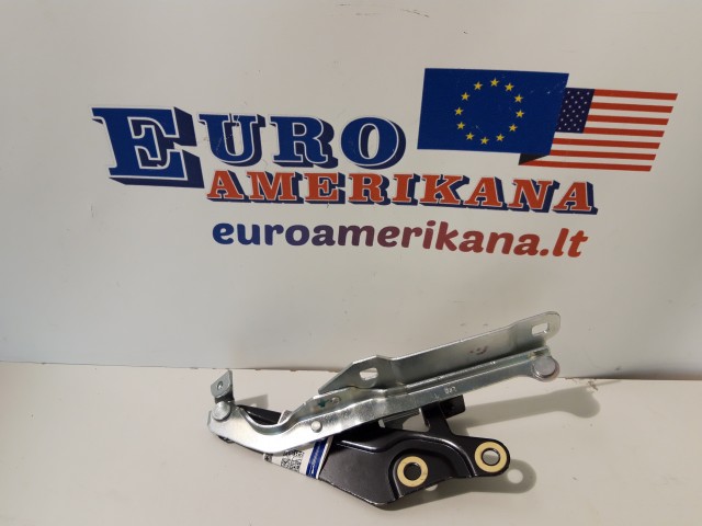 Hinge Assembly (left)